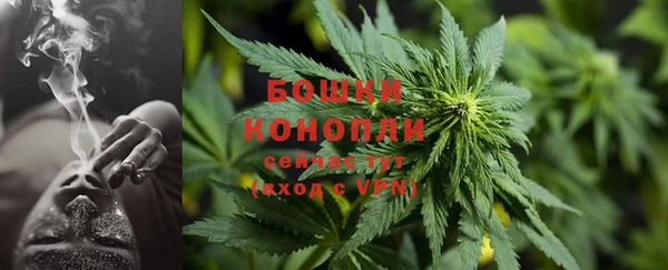 мдпв Надым