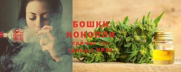 2c-b Горняк