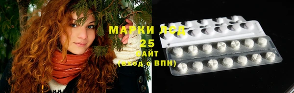 мдпв Надым