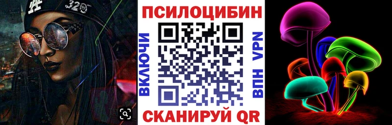 наркотики  Курганинск  Псилоцибиновые грибы Psilocybe 