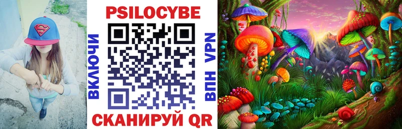 Галлюциногенные грибы GOLDEN TEACHER Курганинск