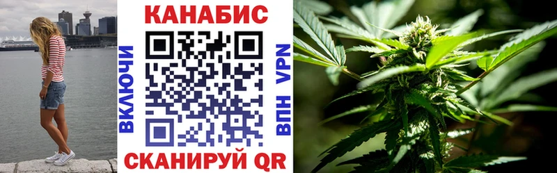 Шишки марихуана план  где купить   кракен как зайти  Курганинск 